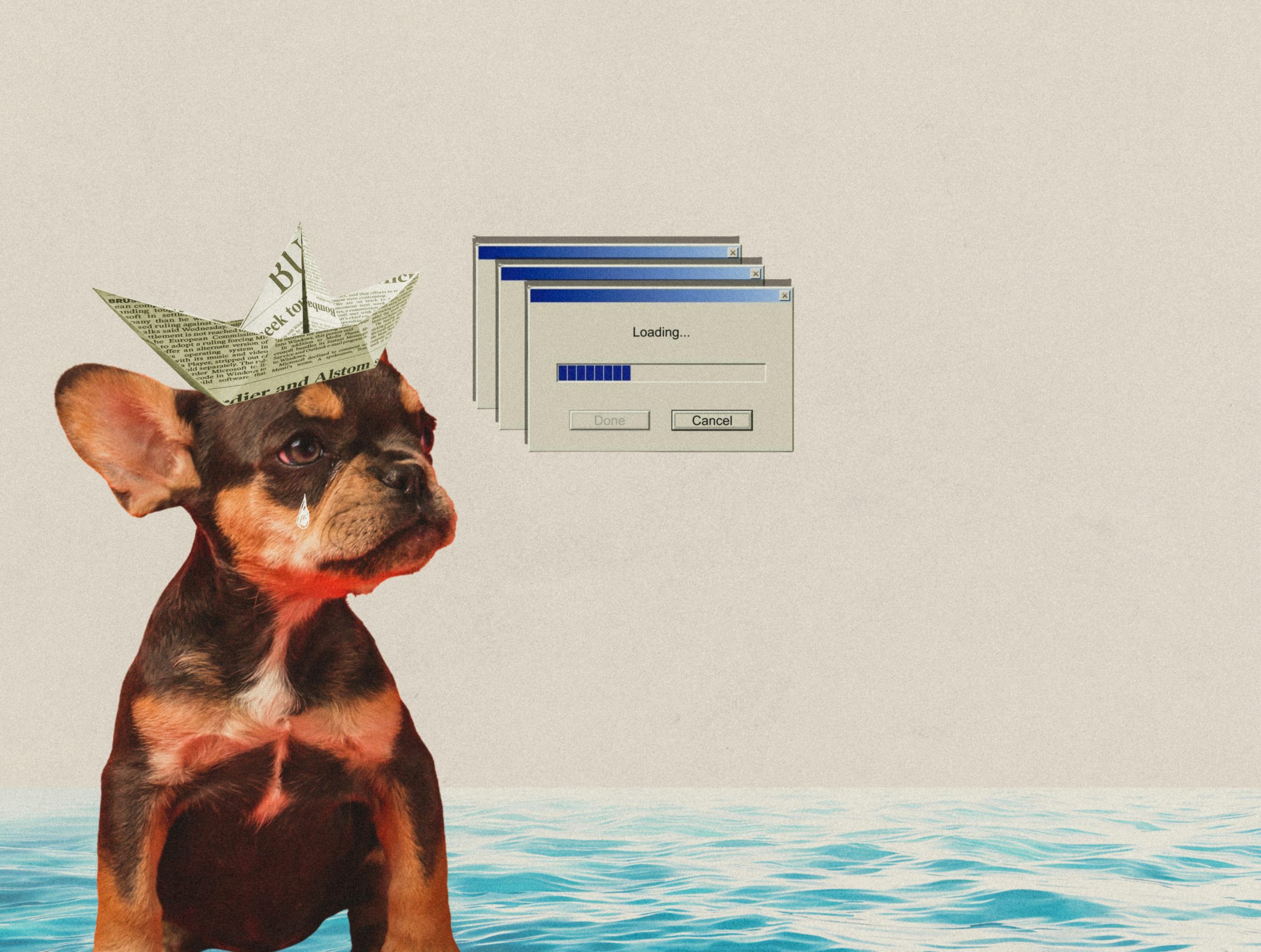 Montaje tipo collage con perro mirando la ventana de loading